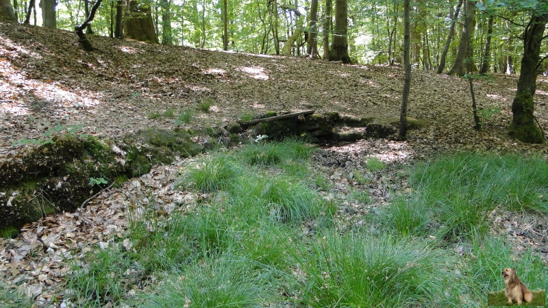 Ritterstein Nr. 146-6 Dammbrunnen.JPG - Ritterstein Nr.146  Dammbrunnen                               
